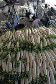 商務(wù)部 18種蔬菜平均批發(fā)價格環(huán)比下降5.9%，食用農(nóng)產(chǎn)品市場供應(yīng)穩(wěn)定