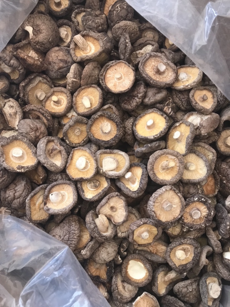 河南泌陽干香菇 駐馬店特產(chǎn)批發(fā)，31.5元/斤質(zhì)優(yōu)價美