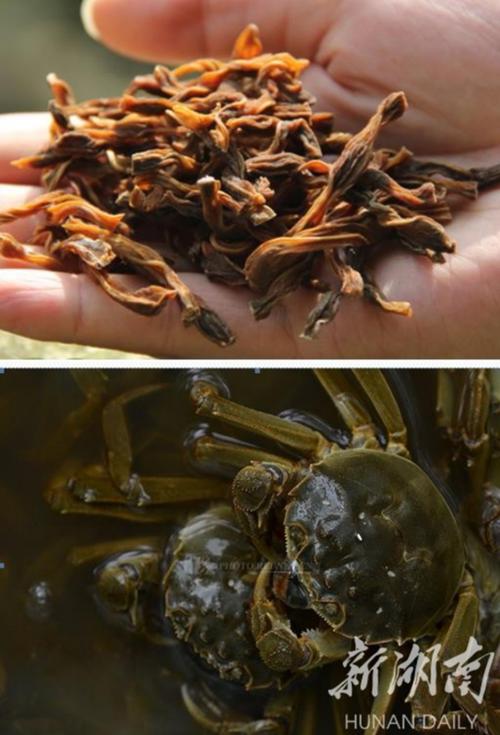 中提出,要逐步建成從批發(fā)到零售,從農(nóng)田到餐桌全程的食用農(nóng)產(chǎn)品質(zhì)量